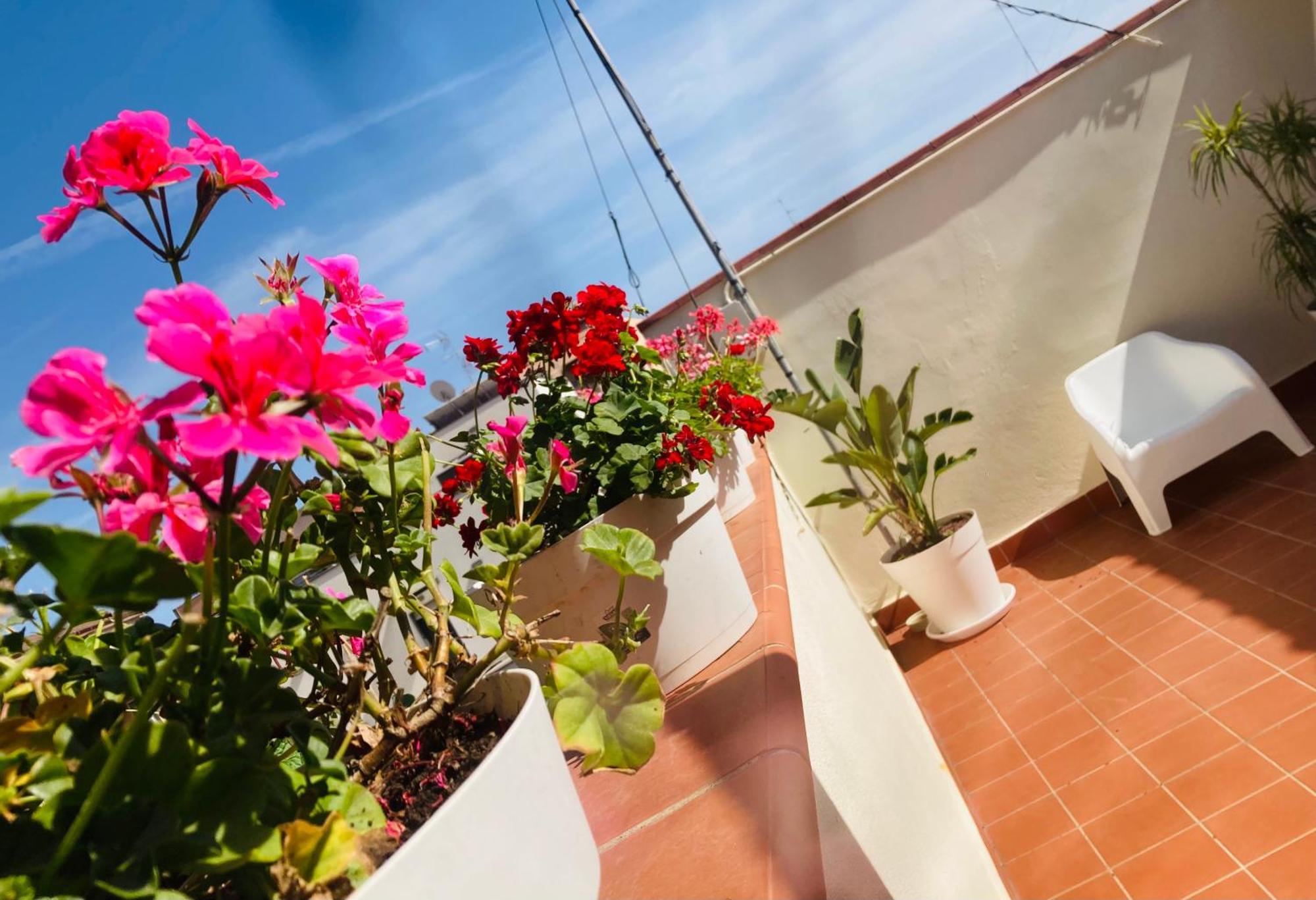 Lavica Di Mezzo Apartments Katánie Exteriér fotografie
